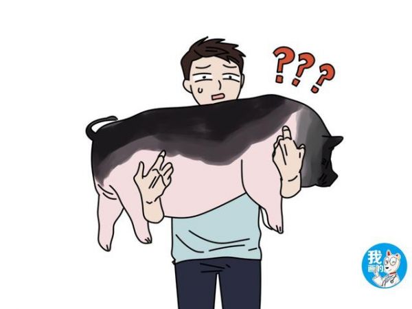 小伙网购宠物猪,1年后拍照上传买家秀:内容过于真实了