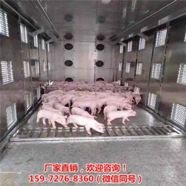 国六拉猪车养猪车仔猪运输保温车活猪转运车