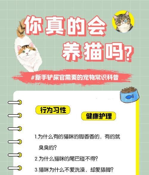 新手铲屎官，学会如何教会猫咪使用猫砂盆（让你的猫咪轻松掌握如厕技能，告别随地大小便的烦恼）