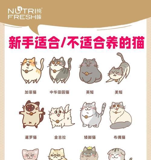 新手铲屎官，学会如何教会猫咪使用猫砂盆（让你的猫咪轻松掌握如厕技能，告别随地大小便的烦恼）