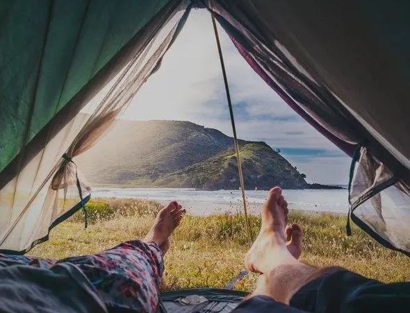 10种使用猫砂的小技巧