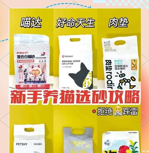 小猫学用猫砂的时间和方法（培养小猫使用猫砂的技巧与注意事项）