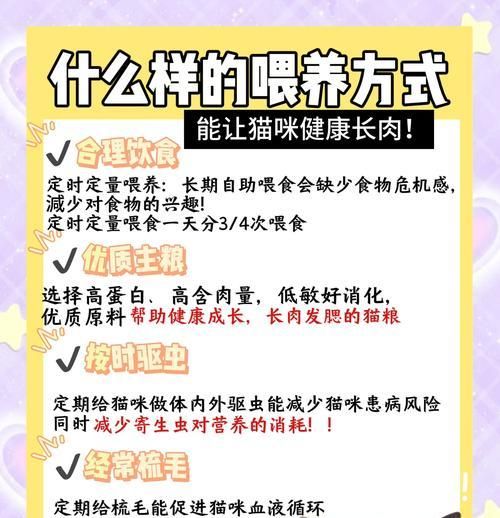 猫沙铲和猫粮铲的区别是什么？如何正确使用猫沙铲和猫粮铲？