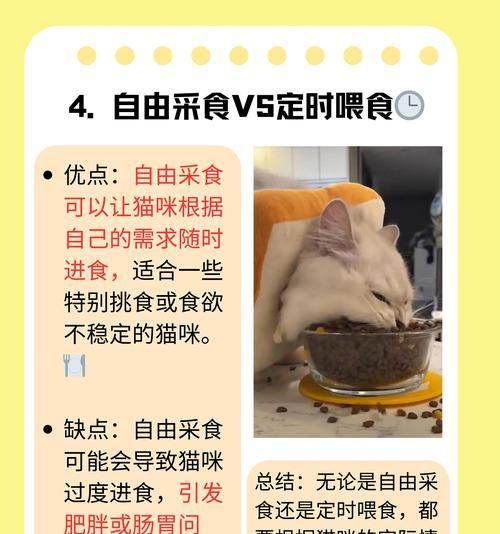 猫咪的断奶时机与注意事项（刚出生的猫咪断奶时间及护理要点）