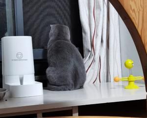 给主子吃的营养猫饭的做法 步骤3