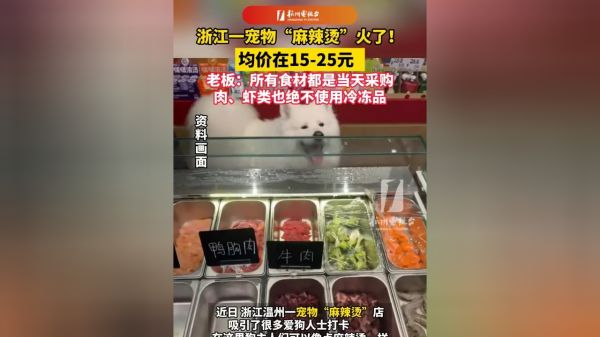 Thumbplayer Poster Plugin Image