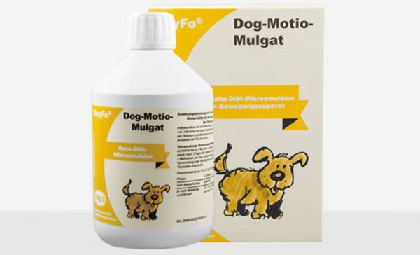 狗狗关节受损用什么药?维氏veyx关节强微乳剂,还原狗狗运动天性