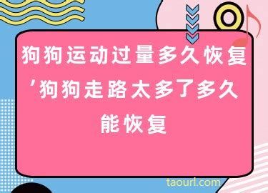 狗狗运动过量多久恢复-图1