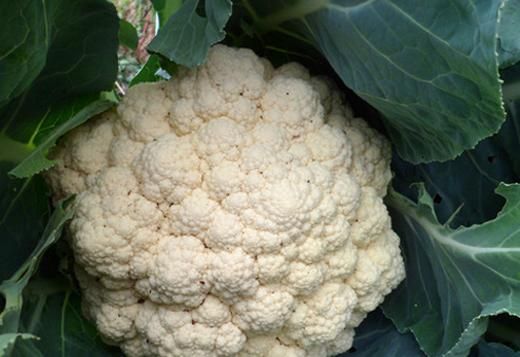 运动保健 运动前后如何补充营养？