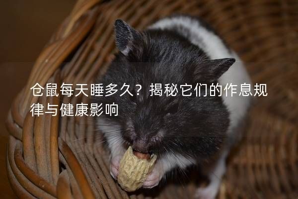 仓鼠每天睡多久?揭秘它们的作息规律与健康影响