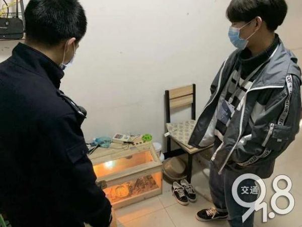 杭州小伙买卖自家的“龟儿子”被判刑