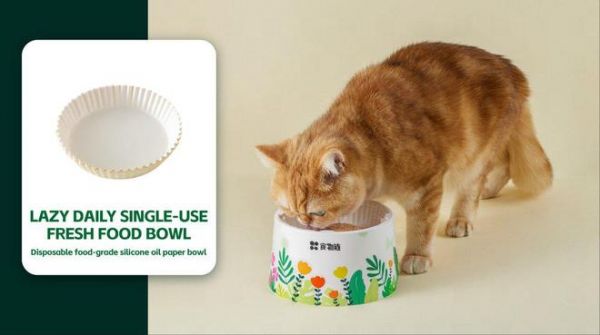 食物链与小佩联合发布全球首款AI宠物湿粮喂食器，开启湿粮智能喂养新时代