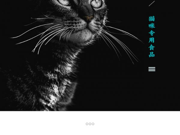 邢台室内凯锐宠粮,凯锐宠粮