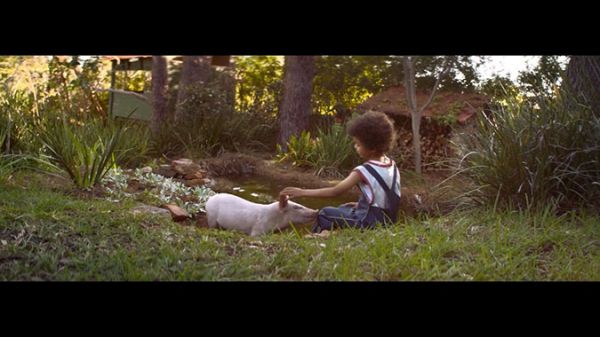 宠物猪: 亚马逊智能音响Alexa广告欣赏