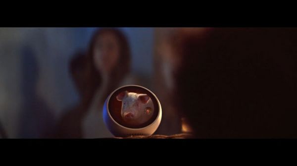 宠物猪: 亚马逊智能音响Alexa广告欣赏