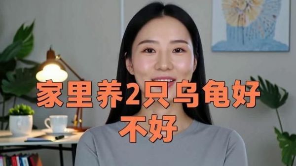 家里养2只乌龟好不好，家里养2只乌龟究竟好不好？饲养前必知的互动与养护
