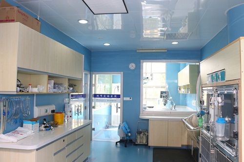 猫连续饿三天会怎样,猫能饿三天吗,猫饿两三天有事吗