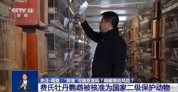 我国1707万人养异宠 “异宠热”背后的隐患