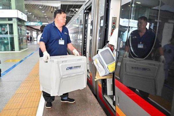 12306部分车票带宠字 宠物托运服务升级