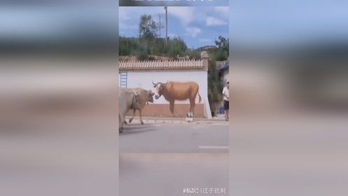 这牛画的也太牛了