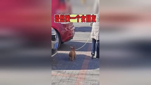 我想找一个女朋友