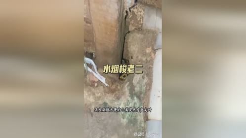 水烟梭老二梭老二竟然进入了厕所，这不的是找死吗