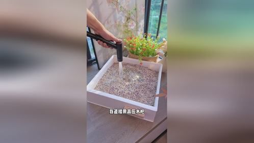 9块9的梦幻猫砂，结团紧实牢固不松散