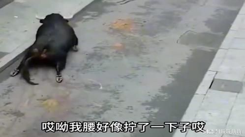 牛二这回装大了