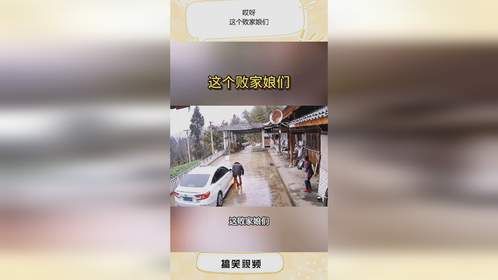 哎呀，这个败家娘们