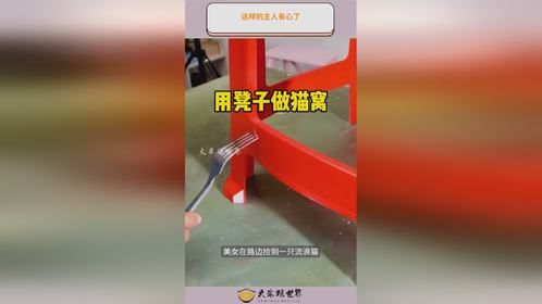 这样的主人有心了