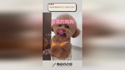 笑起来眼睛都不见了 真是太可爱了