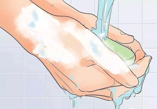 给猫接生需要准备什么？猫咪的生产与产后护理方法