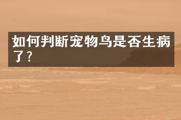 如何判断宠物鸟是否生病了?