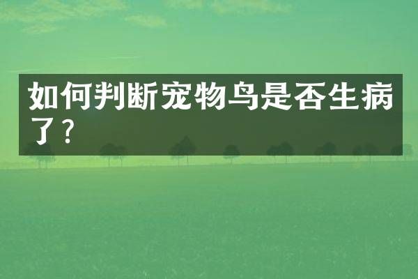 如何判断宠物鸟是否生病了?