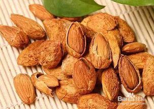 鼠宜食坚果，瓜子喂食需适量