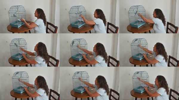 女人在木桌上与她的宠物鸟互动,表达出在温馨家居环境中的快乐和陪伴。