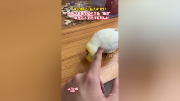 Thumbplayer Poster Plugin Image