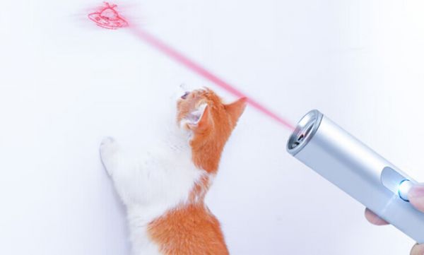 猫咪玩具排行榜前十名推荐雅迎逗猫激光笔，猫咪互动新选择