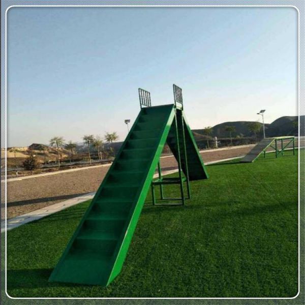 生产宠物训练器材 体能拓展器材 敏捷跳圈