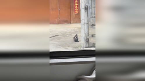 健身只是为了让自己更健康