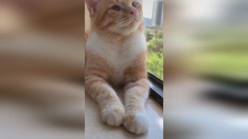 每个人都有一些难忘的回忆，在某个时刻想起