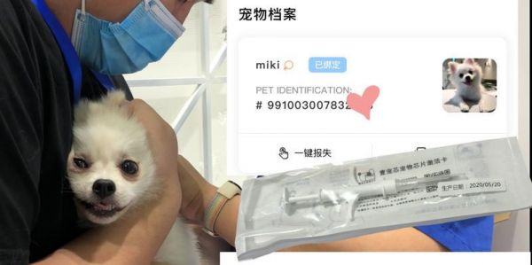 小狗比赛芯片（追踪与计时的先进科技助力狗狗竞赛领域的革新）