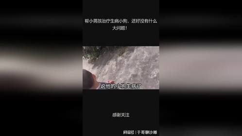 帮小男孩治疗生病小狗，还好没有什么大问题！