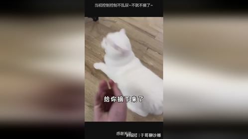 当初控制控制不乱尿~不就不摘了~