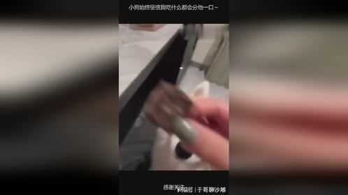 小狗始终坚信我吃什么都会分他一口～