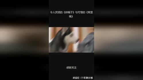 令人厌烦的《碎嘴子》与可憎的《窝里横》