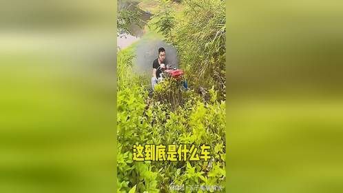 骑的到底是什么车呀