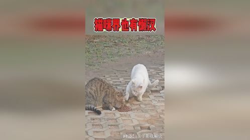 想吃不会自己去要啊