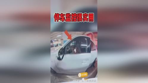 停车监控确实很实用