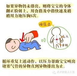 宠物生命急救：掌握呼吸心跳急救法